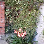 Casa Bouganville 아파트 라스페치아