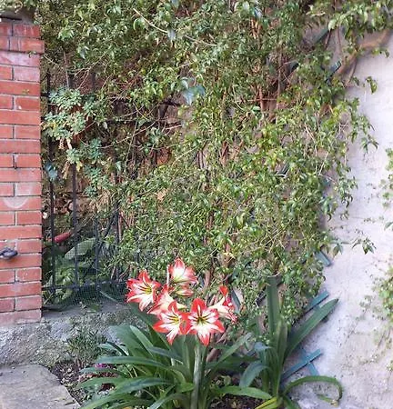 Casa Bouganville Διαμέρισμα Λα Σπέτσια