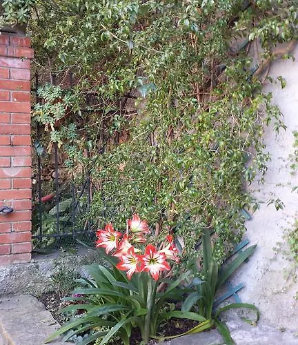 Casa Bouganville Apartment La Spezia